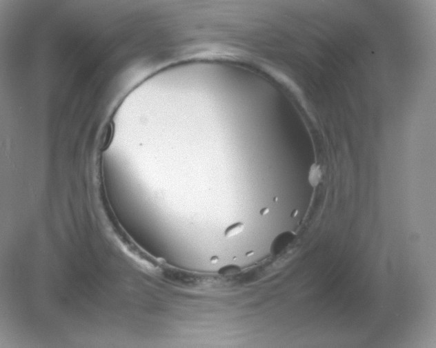 X0000082171375200702021715