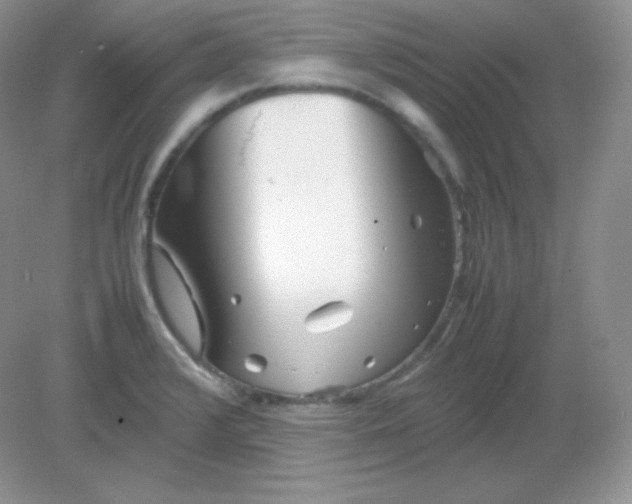 X0000082171376200702021715