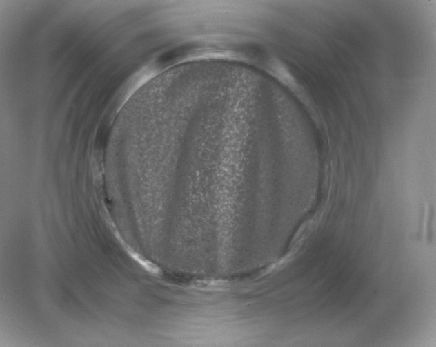 X0000082171377200702021715