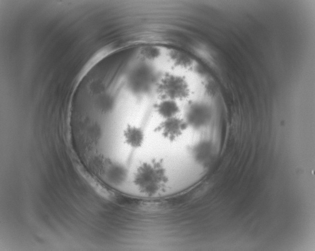 X0000082171378200702021715