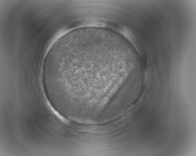 X0000082171379200702021715