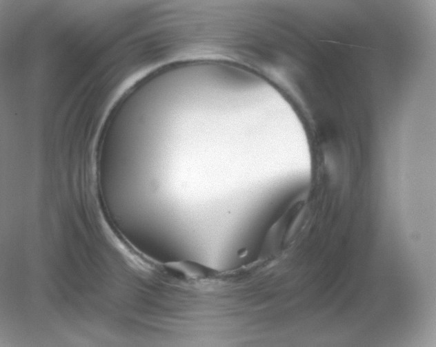 X0000082171380200702021715