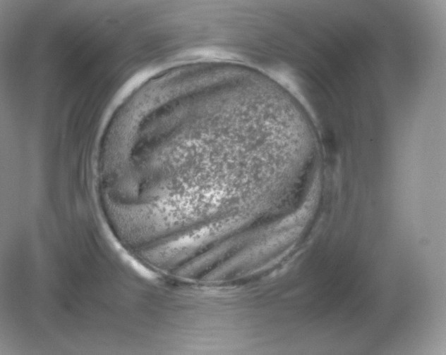 X0000082171381200702021715