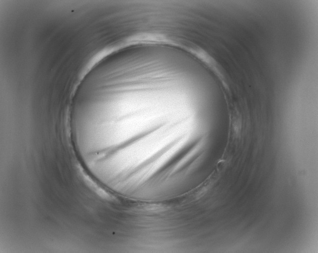 X0000082171382200702021715