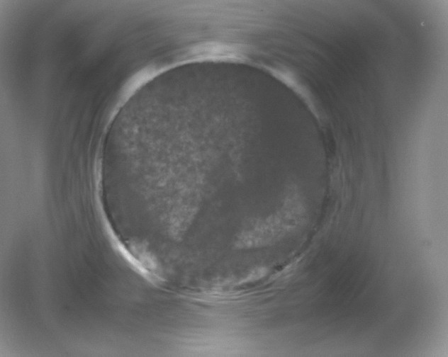 X0000082171383200702021715