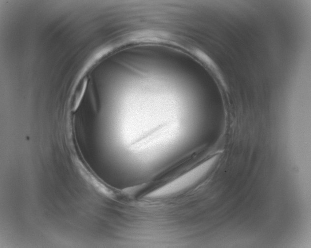 X0000082171384200702021715