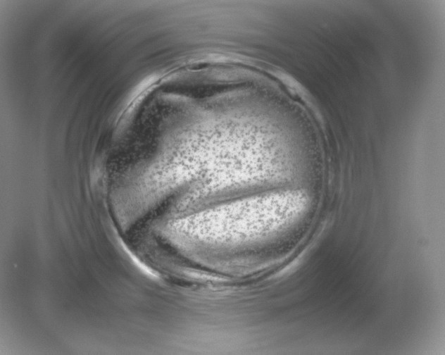 X0000082171385200702021715