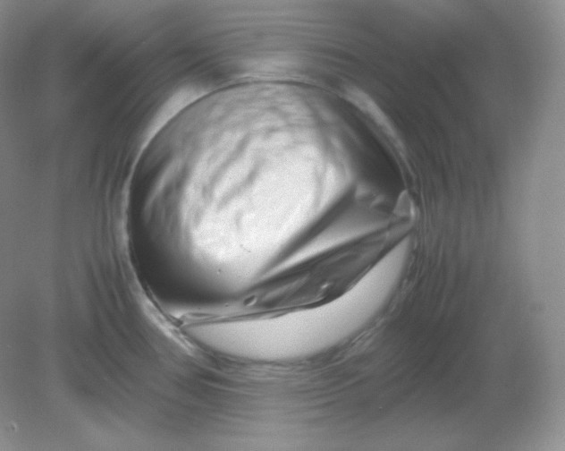 X0000082171386200702021715