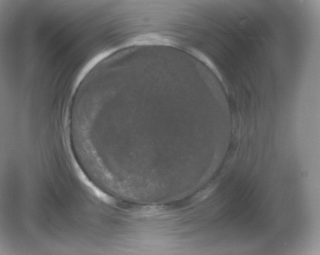 X0000082171387200702021715