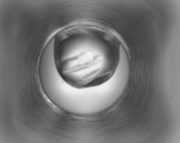 X0000082171388200702021715