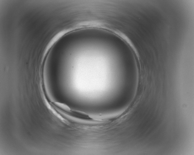 X0000082171389200702021715