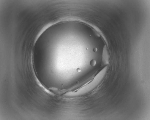 X0000082171390200702021715