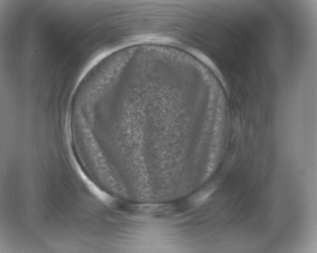 X0000082171391200702021715