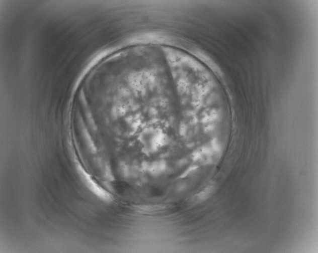 X0000082171392200702021715