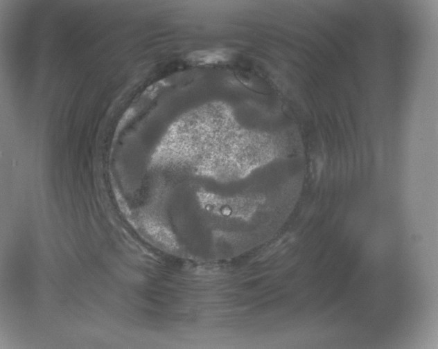 X0000082171393200702021714