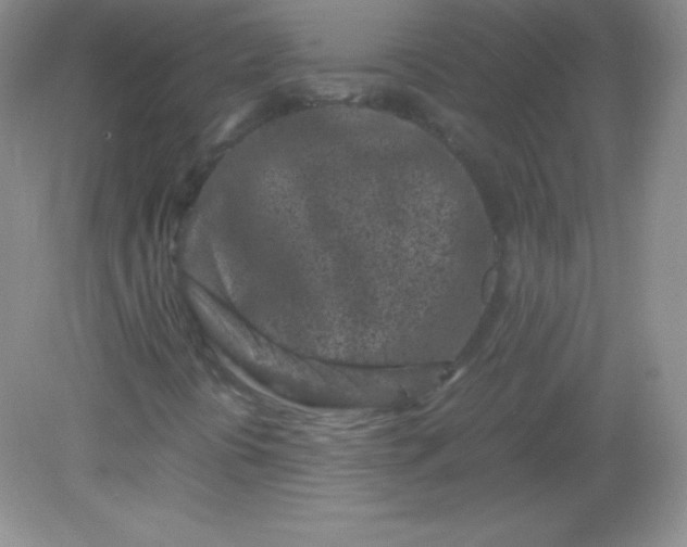 X0000082171394200702021714