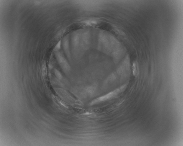 X0000082171395200702021714