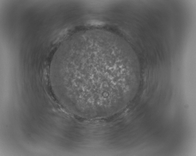 X0000082171397200702021714