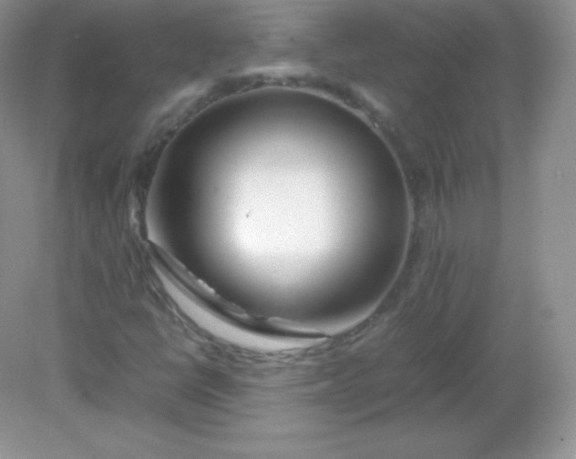 X0000082171398200702021714