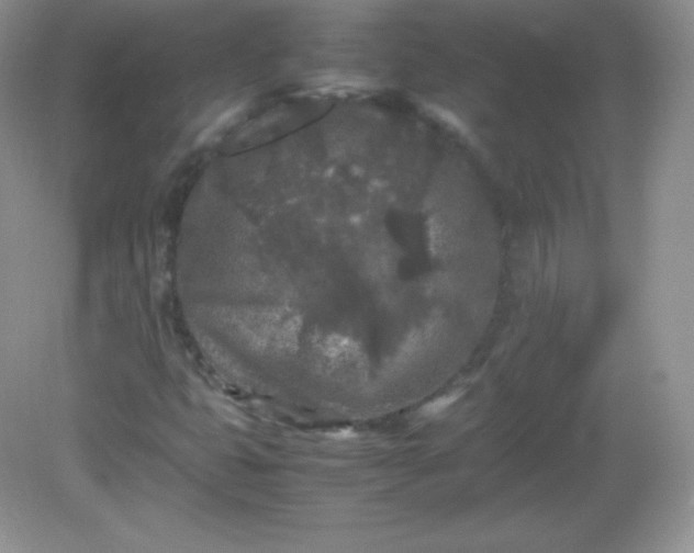 X0000082171399200702021714