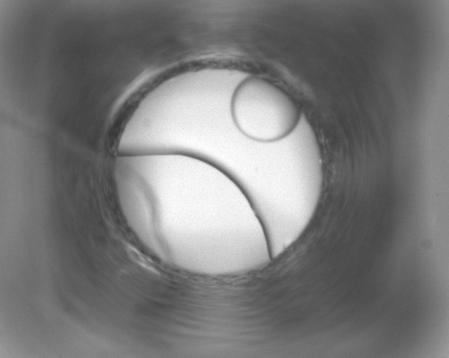 X0000082171400200702021714