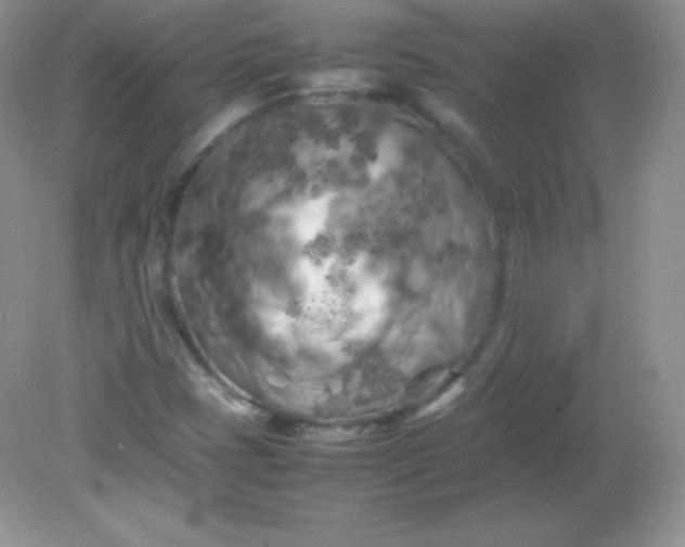 X0000082171401200702021714