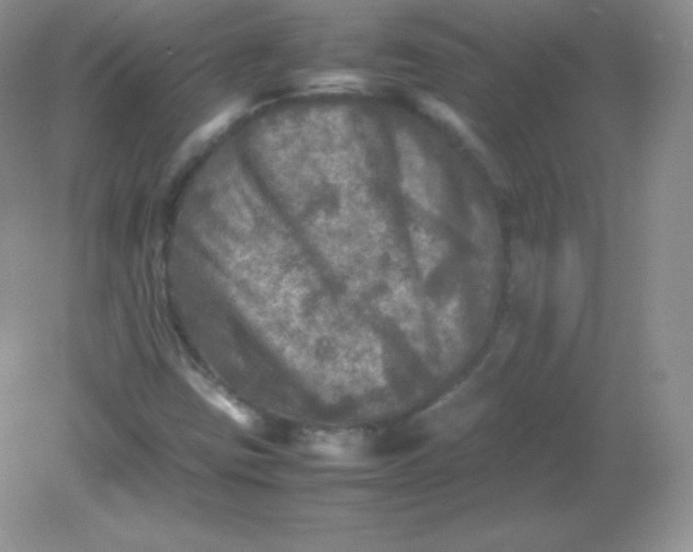 X0000082171403200702021714