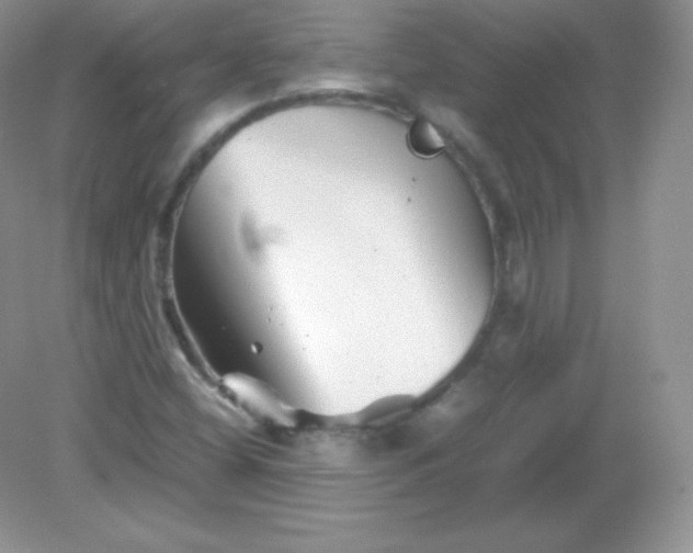 X0000082171404200702021715