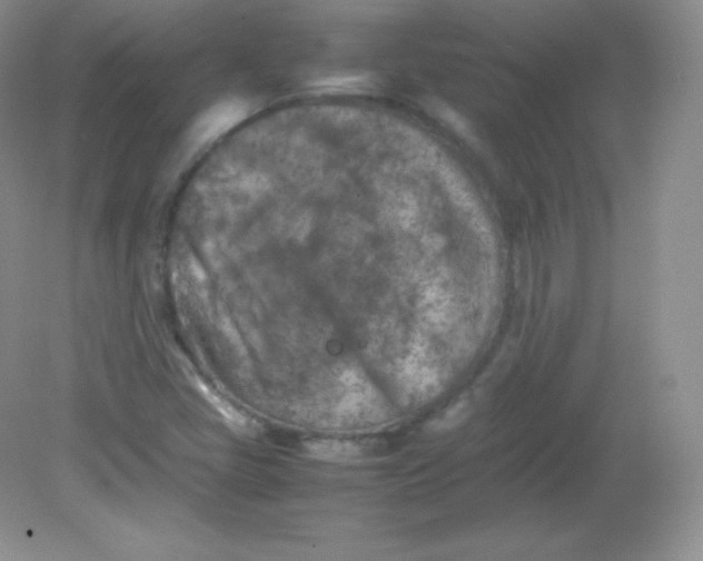 X0000082171405200702021715