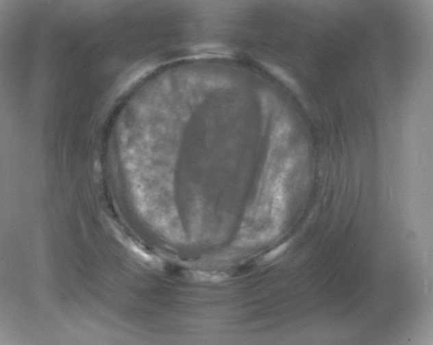 X0000082171407200702021715