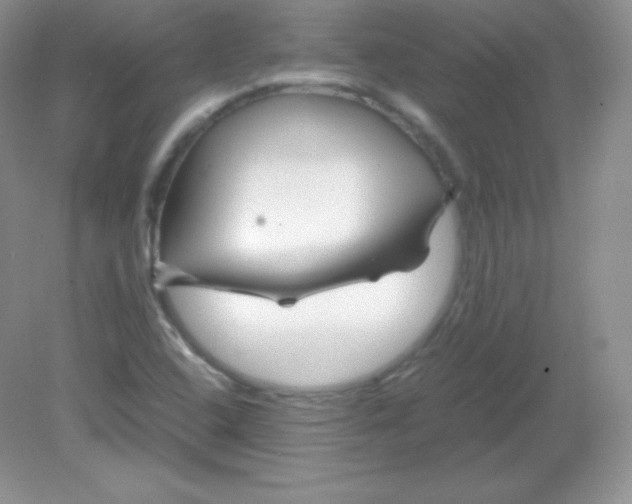 X0000082171408200702021715