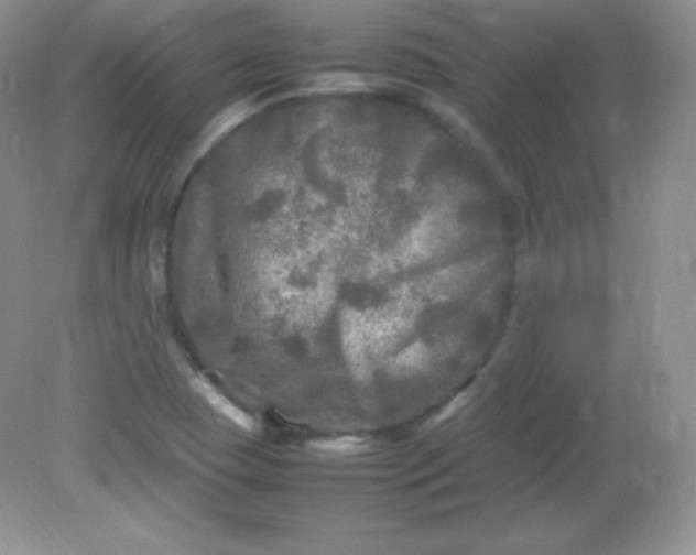 X0000082171409200702021715