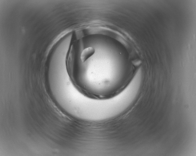 X0000082171410200702021715