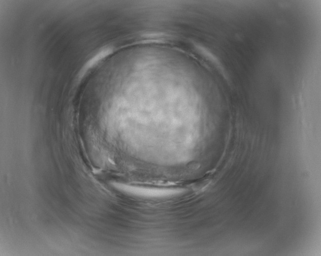 X0000082171411200702021715