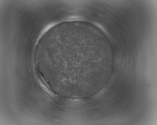 X0000082171413200702021715