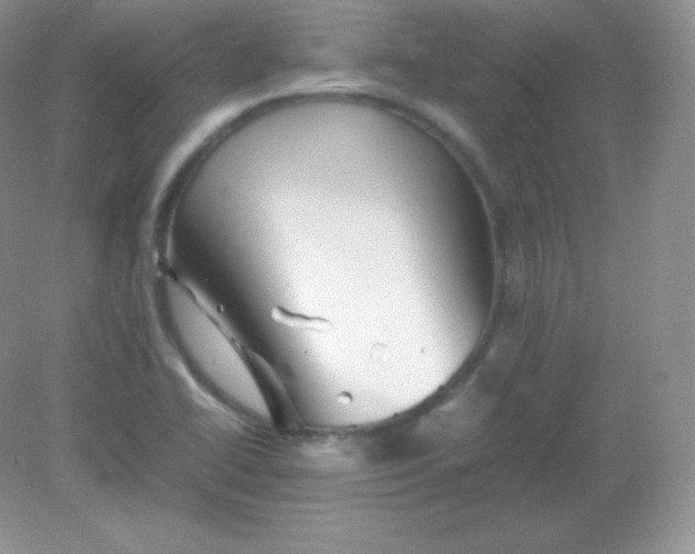 X0000082171414200702021715