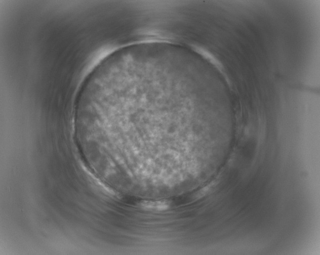 X0000082171415200702021715