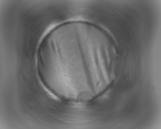 X0000082171416200702021715