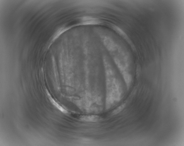 X0000082171417200702021715