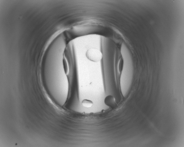 X0000082171418200702021715