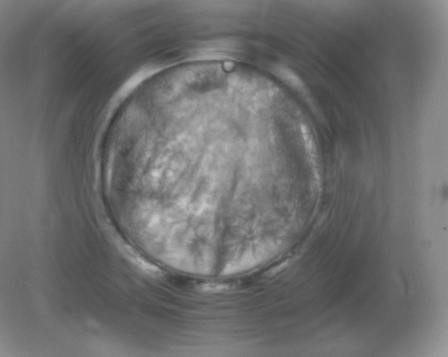 X0000082171419200702021715