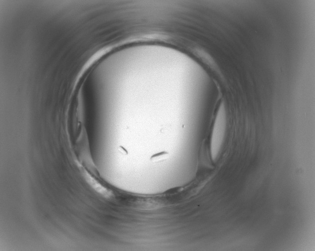 X0000082171420200702021715