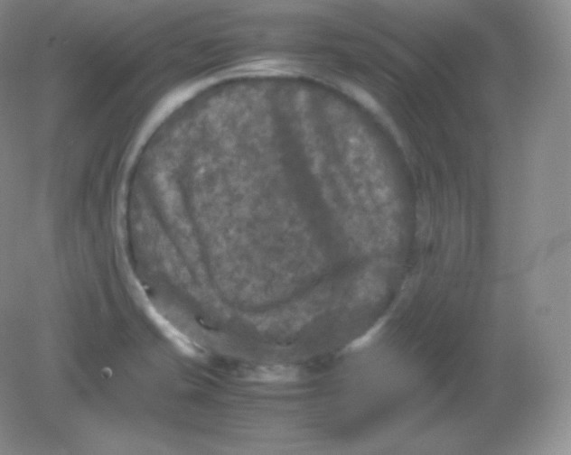 X0000082171421200702021715