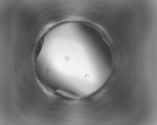 X0000082171422200702021715