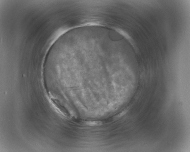 X0000082171423200702021715