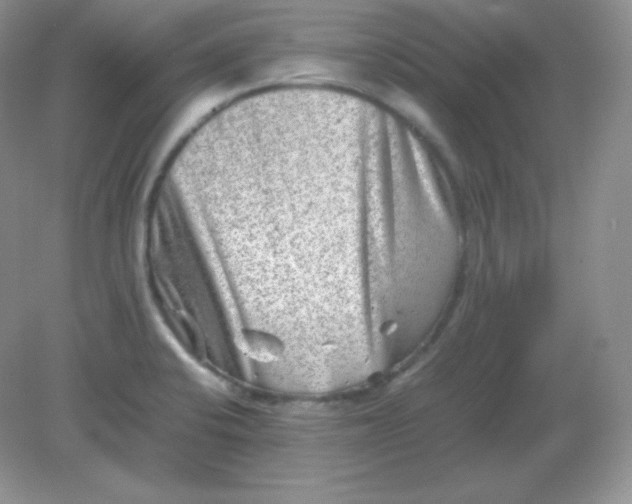 X0000082171424200702021715