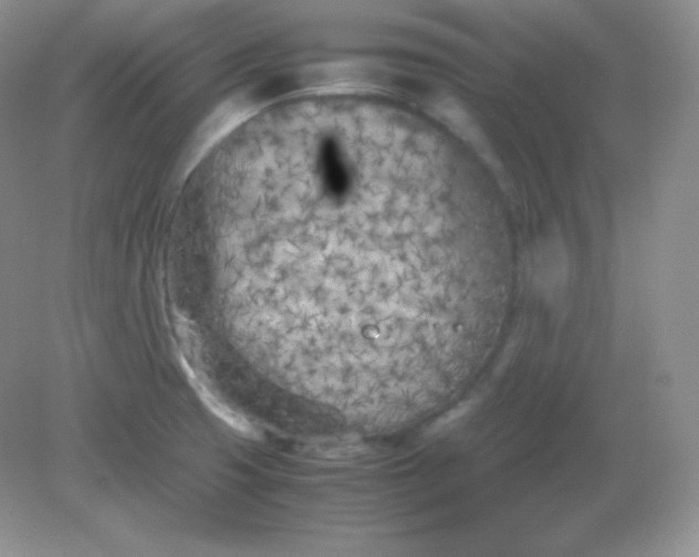 X0000082171425200702021715