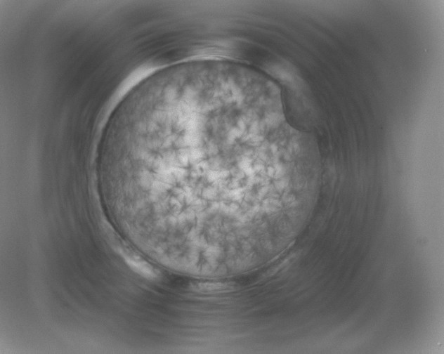 X0000082171427200702021715