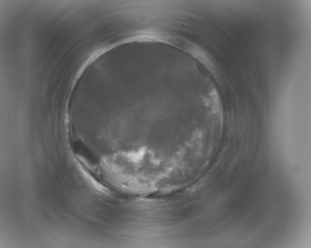 X0000082171428200702021715