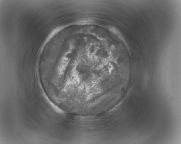 X0000082171429200702021715